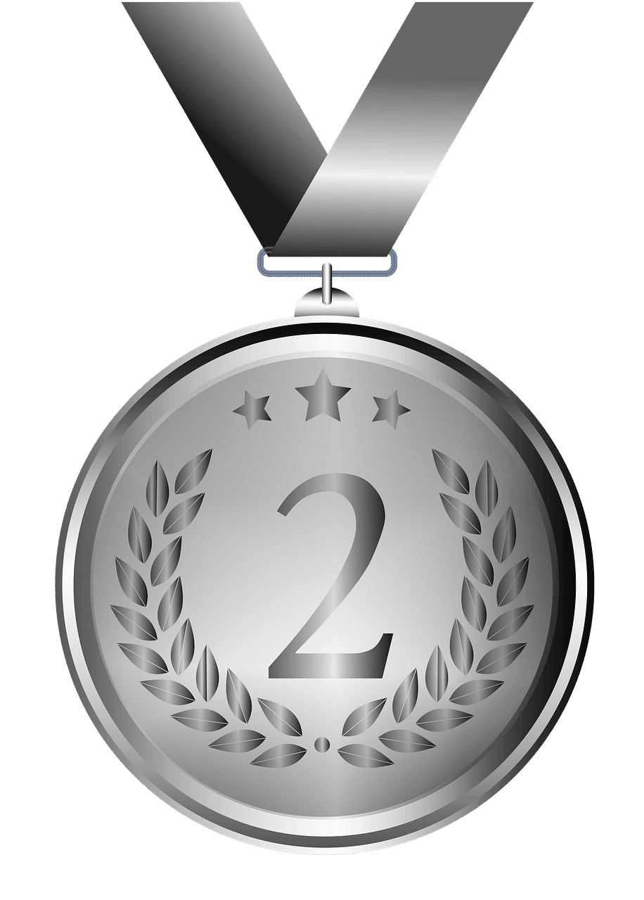 medal-2163349_1280 partenaires