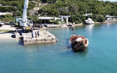 #3 – La start-up GreenTech de la semaine : Royal Recy Boat