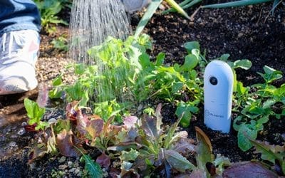 #5 – La startup GreenTech de la semaine : Plantio