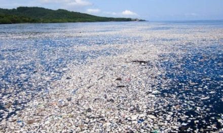 Savez-vous d’où proviennent les déchets plastiques présents dans l’océan Pacifique ?