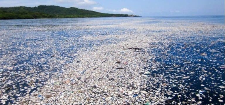 Savez-vous d’où proviennent les déchets plastiques présents dans l’océan Pacifique ?