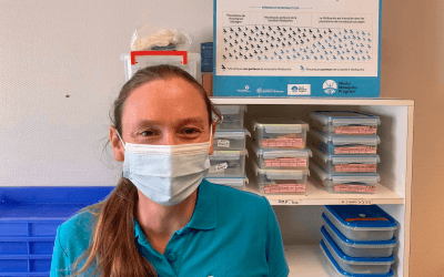 Rencontre avec Nadège Rossi, responsable du World Mosquito Program Nouvelle-Calédonie