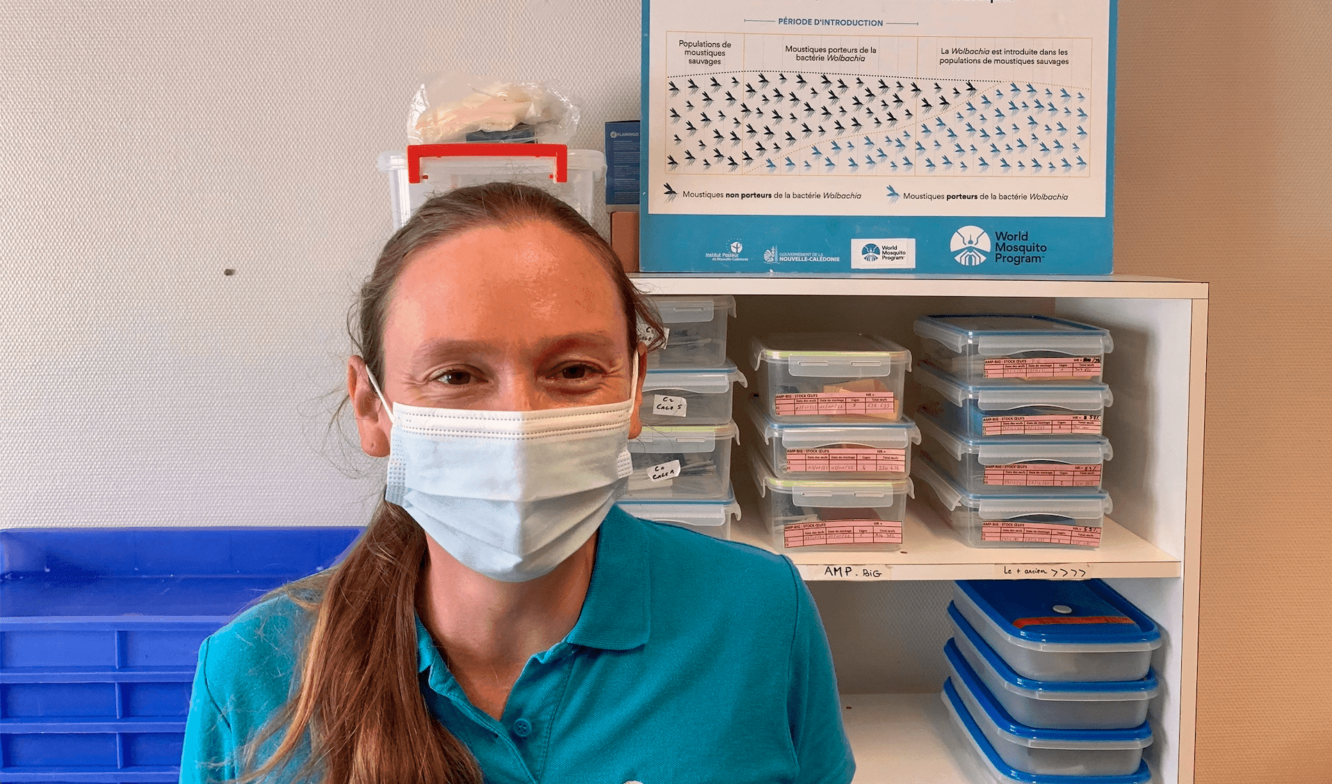 Rencontre avec Nadège Rossi, responsable du World Mosquito Program Nouvelle-Calédonie