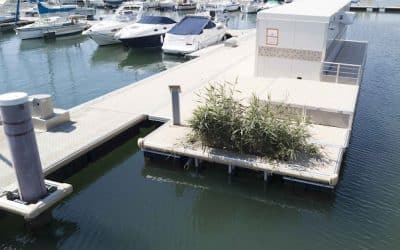 Startup GreenTech Épisode #14 – AquaTech Innovation, préservons nos eaux…