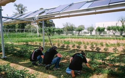 Startup GreenTech Épisode #18 – Ombrea, une protection pour les cultures face au changement climatique !