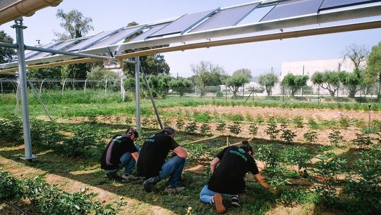 Startup GreenTech Épisode #18 – Ombrea, une protection pour les cultures face au changement climatique !