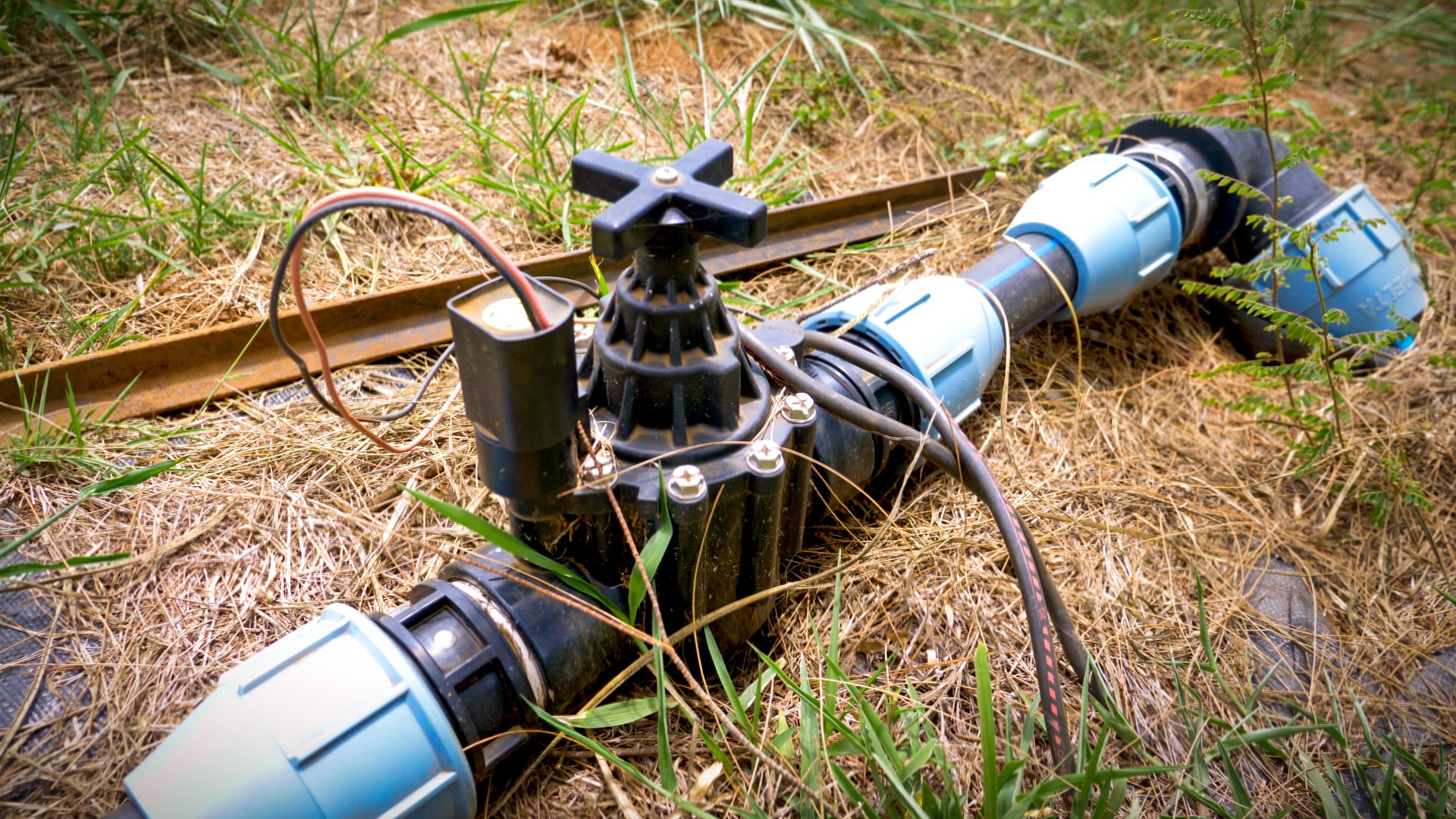 Arrosage connecté, irrigation automatique : les innovations