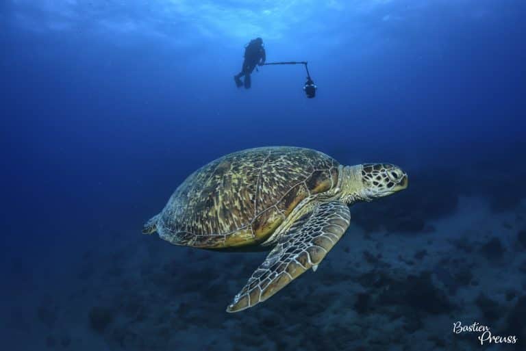 Immersion au coeur du lagon calédonien, la technologie au service de la biodiversité