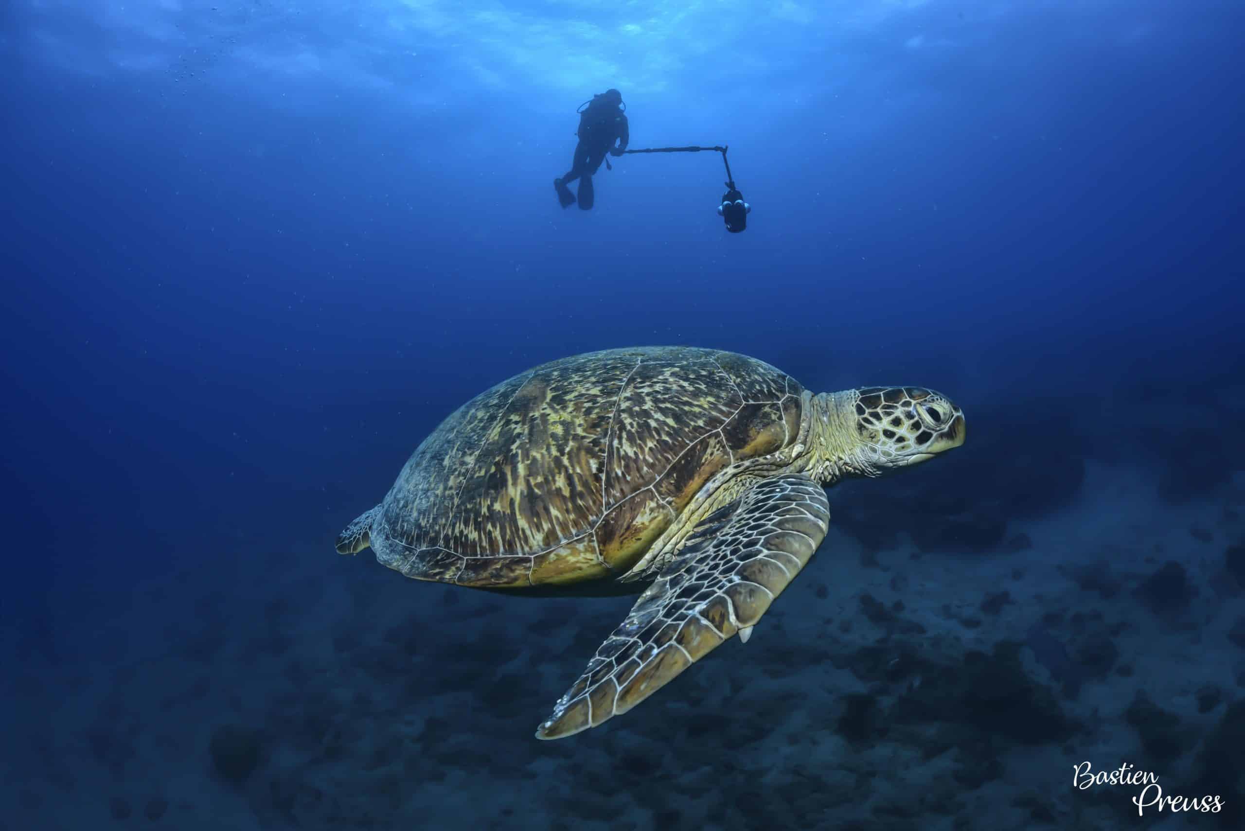 La caméra sous-marine à 360°, l'innovation technologique au coeur du lagon  - NeoTech