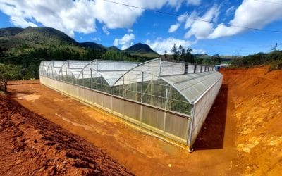Rencontre avec Tony Despujols, co-gérant d&rsquo;Agri Logic Systèmes