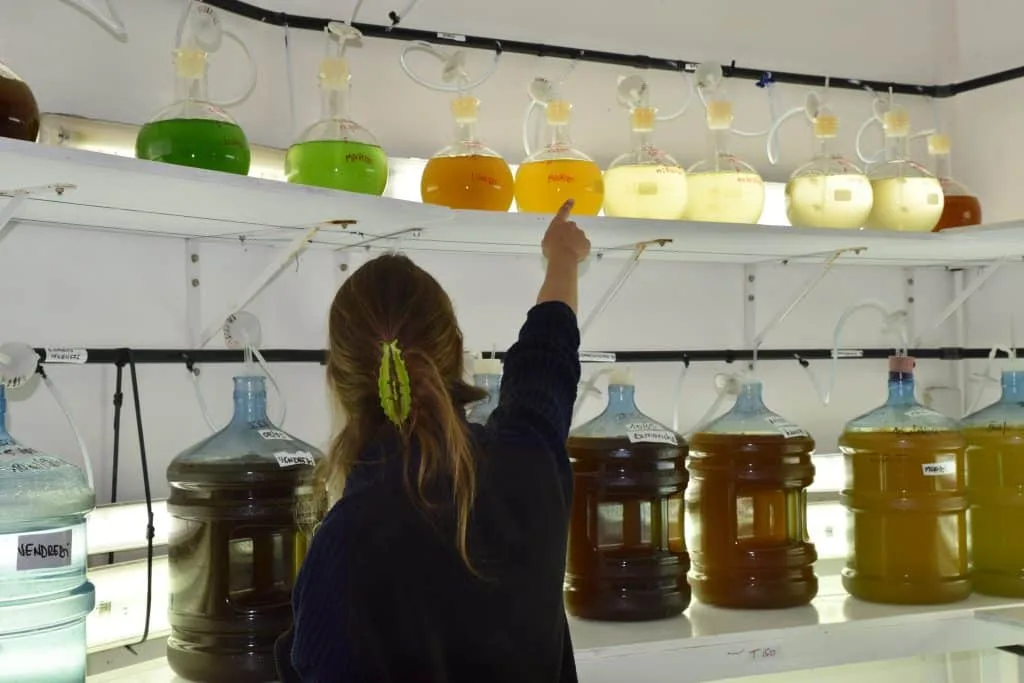 Rencontre avec Océane Robert, fondatrice de l'Écloserie Océane Innovation -  NeoTech