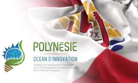 “Polynésie Océan d’Innovation”, la Stratégie de l’innovation 2030 adoptée en Conseil des Ministres