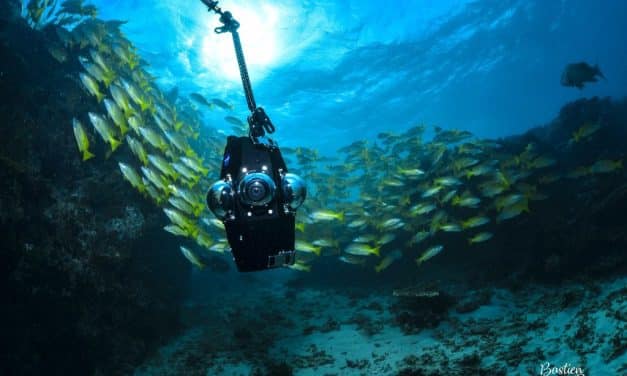 La caméra sous-marine à 360°, l’innovation technologique au coeur du lagon