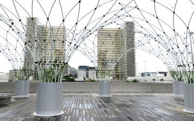 Startup GreenTech Épisode #30 – Urban Canopee, végétaliser le paysage urbain