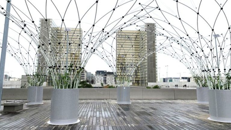 Startup GreenTech Épisode #30 – Urban Canopee, végétaliser le paysage urbain