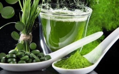 Startup GreenTech, Épisode #31 – Algama, des micro-algues dans votre assiette !