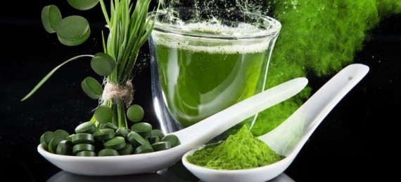 Startup GreenTech, Épisode #31 – Algama, des micro-algues dans votre assiette !