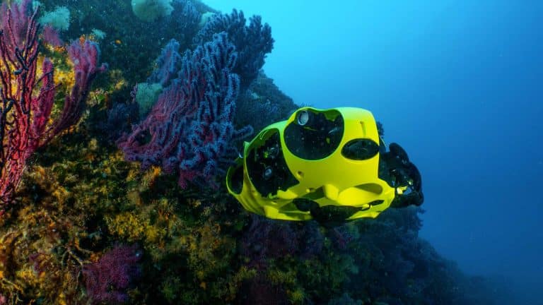 Projet PROTEUS, un armée de drones sous-marins