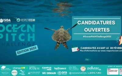 Ocean Pitch Challenge 2023 : à vos marques, prêts… voguez !
