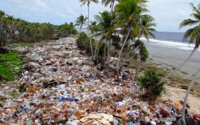 Startup Greentech #45 – Hoola One, un coup d&rsquo;aspirateur… sur la plage