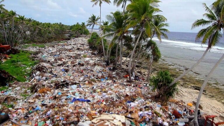 Startup Greentech #45 – Hoola One, un coup d’aspirateur… sur la plage