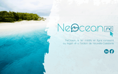 NeoTech a fait un enfant (pas tout seul) : NeOcean.nc