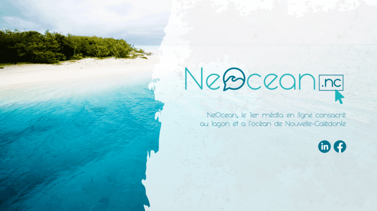 NeoTech a fait un enfant (pas tout seul) : NeOcean.nc
