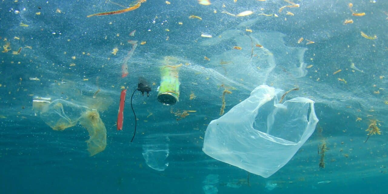 Startup OceanTech, Épisode #1 : V2O Marine, plastiques et hydrocarbures flottants n’ont qu’à bien se tenir !