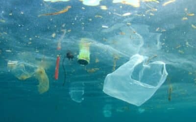 Startup OceanTech, Épisode #1 : V2O Marine, plastiques et hydrocarbures flottants n&rsquo;ont qu&rsquo;à bien se tenir !
