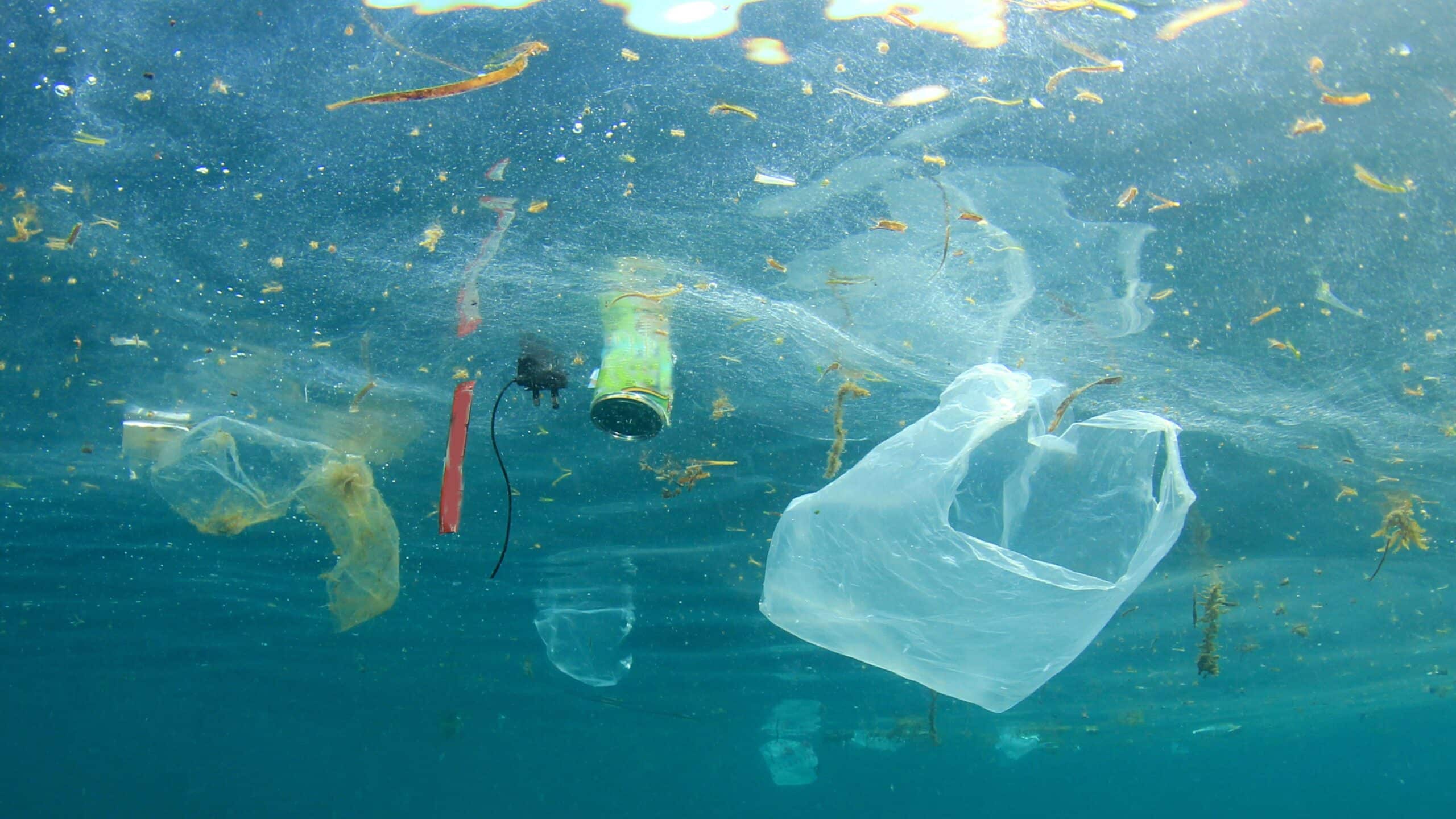Startup OceanTech, Épisode #1 : V2O Marine, plastiques et hydrocarbures flottants n’ont qu’à bien se tenir !