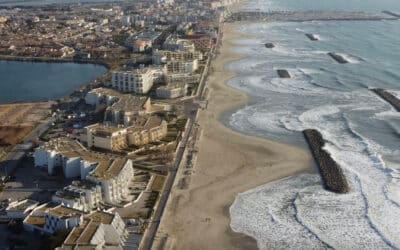 Startup OceanTech, Épisode #2 – LineUp Ocean, s&rsquo;inspirer de la nature pour renforcer notre résilience côtière