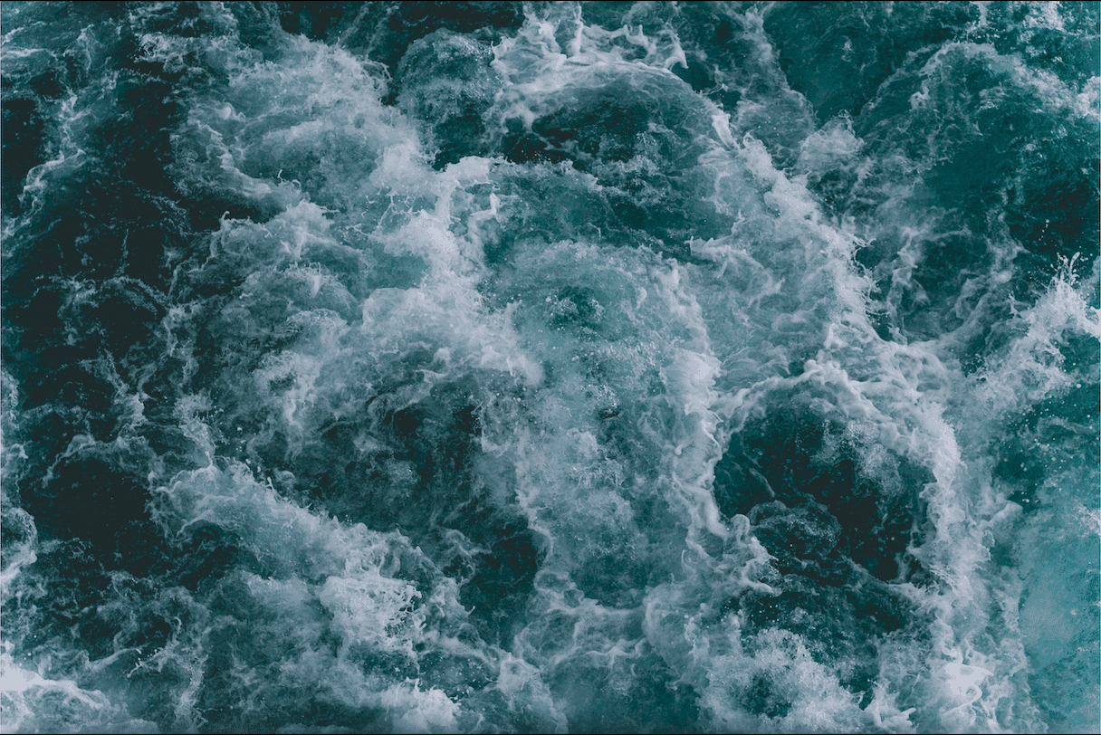 Startup OceanTech, Épisode #4 : Greenov, une technologie au service de la faune aquatique