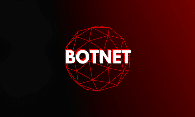 Botnet, quand les zombies numériques attaquent