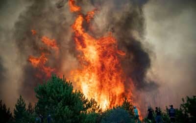 Télédétection et suivi satellite des incendies : ouvrez l&rsquo;OEIL