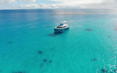 Dame nature, mère d’innovation – Catamarine, le bateau fabrication écolo