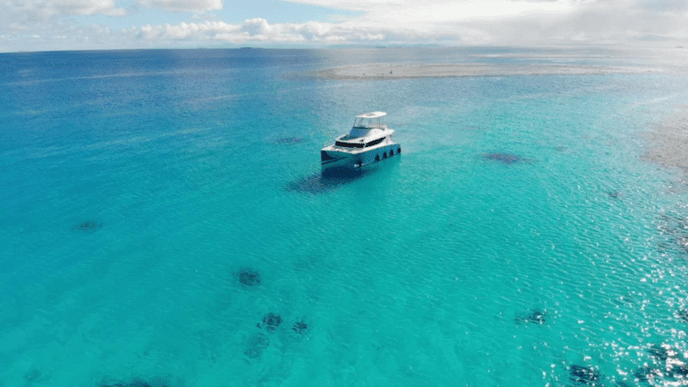 Dame nature, mère d’innovation – Catamarine, le bateau fabrication écolo
