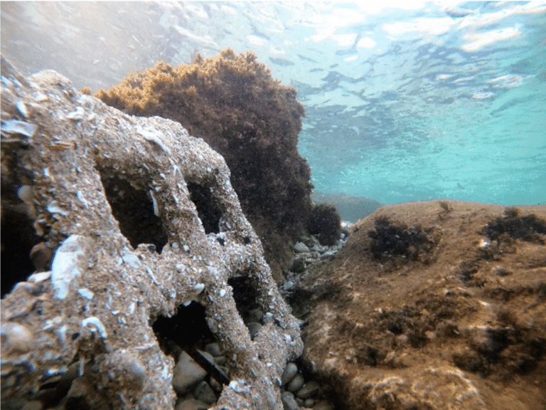 OceanTech #14 – Seacure sécurise les écosystèmes sous-marins