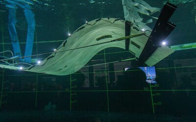 Dame nature, mère d&rsquo;innovation – EEL Energy, l&rsquo;hydrolienne biomimétique