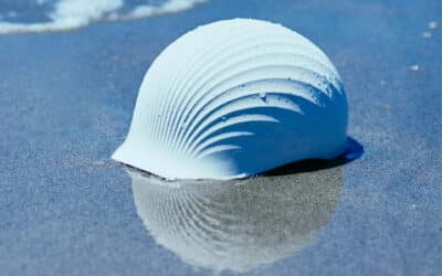 Dame nature, mère d&rsquo;innovation – Shellmet, quand le biomimétisme s&rsquo;allie au recyclage