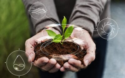 Le Smart Farming révolutionne les récoltes