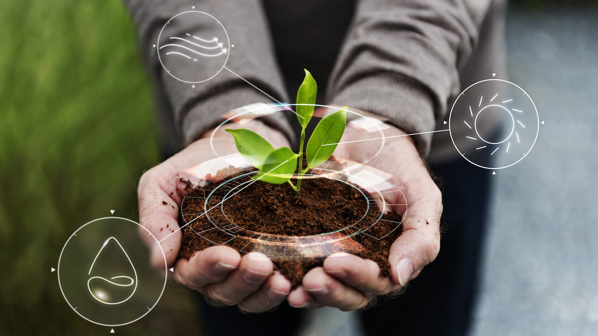 Le Smart Farming révolutionne les récoltes