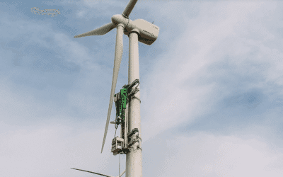 Dame nature, mère d&rsquo;innovation – KoalaLifter, la grue pour grimper en toute sécurité