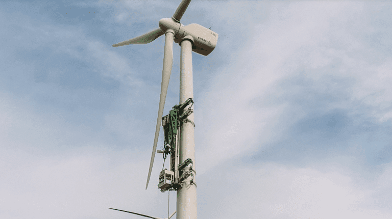 Dame nature, mère d’innovation – KoalaLifter, la grue pour grimper en toute sécurité