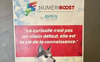 Flashback : Inside « NumeriBoost by OPEN »