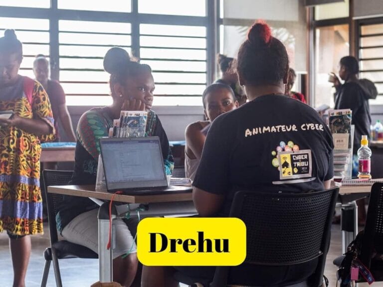 La Cyber Tribu DREHU, des cyber-héros de l’informatique