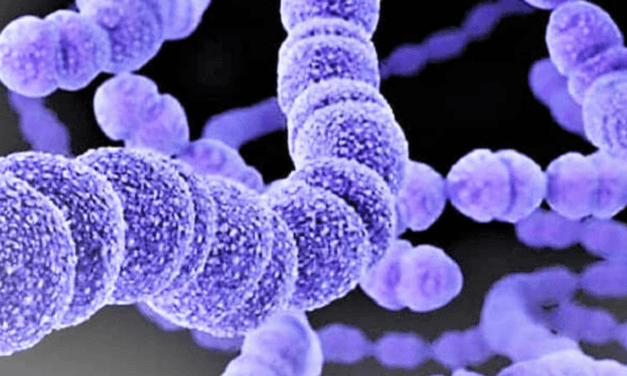 Antibioguide NC : Le mariage entre le numérique et la santé