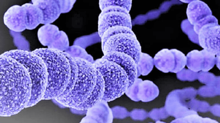 Antibioguide NC : Le mariage entre le numérique et la santé