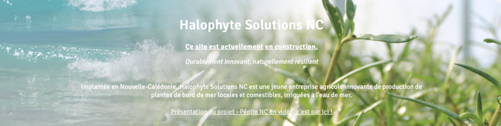 halophyte