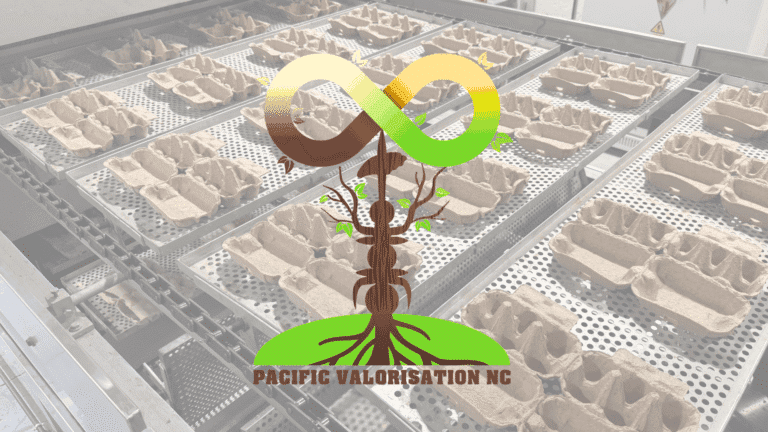 3 questions à Franck Ollivier, co-gérant de Pacific Valorisation NC