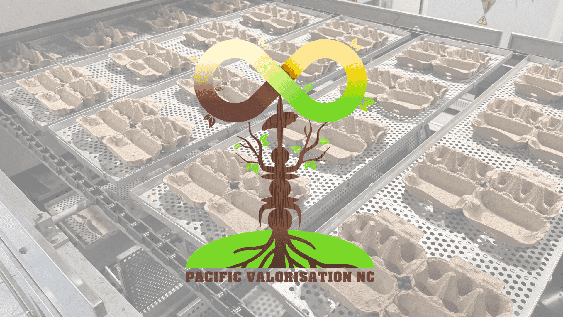 3 questions à Franck Ollivier, co-gérant de Pacific Valorisation NC